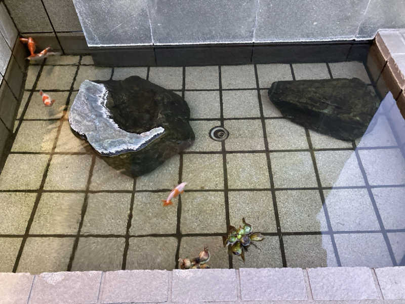 FRONT LINEさんのぽかぽか温泉 新守山乃湯のサ活写真