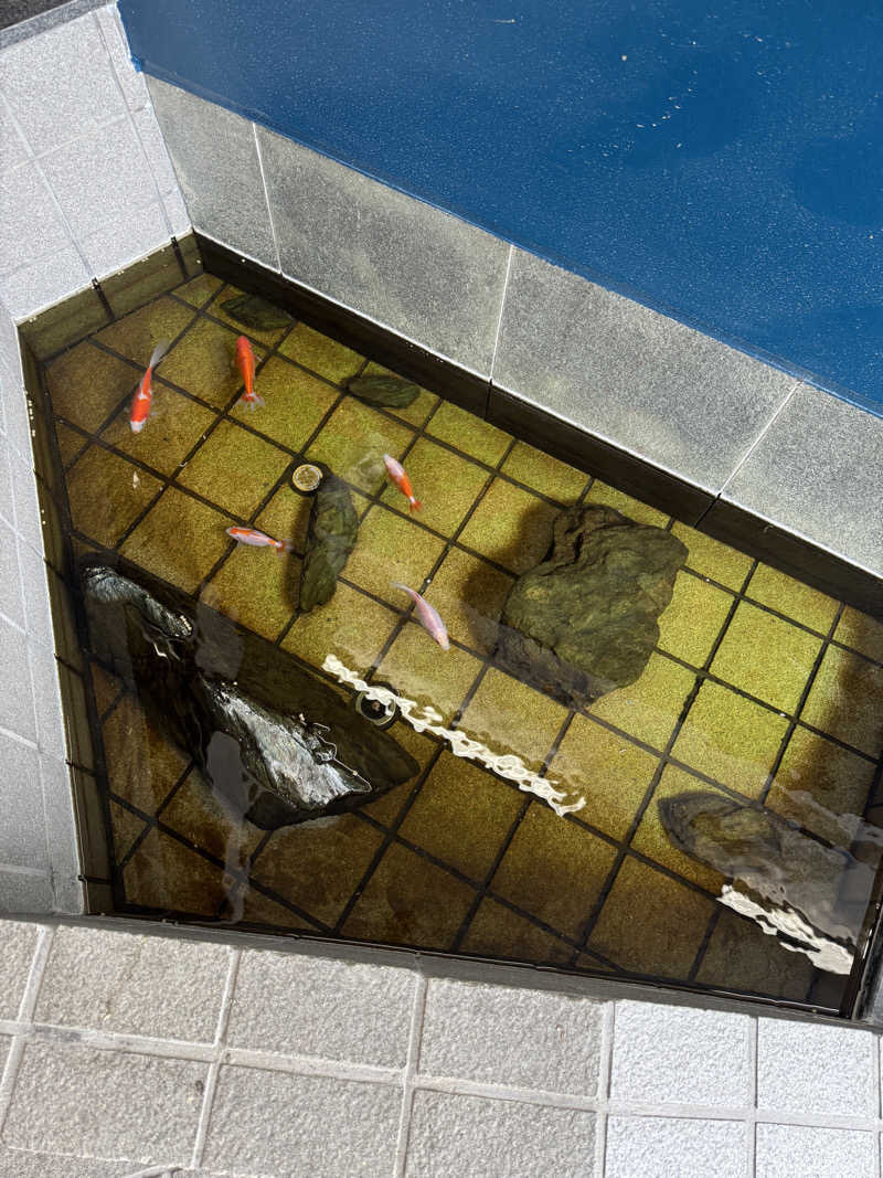 BAL3000さんのぽかぽか温泉 新守山乃湯のサ活写真
