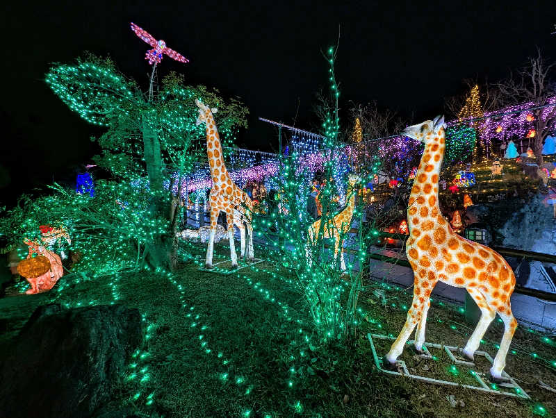 ryuさんの道の駅 おおとう桜街道 さくら館のサ活写真