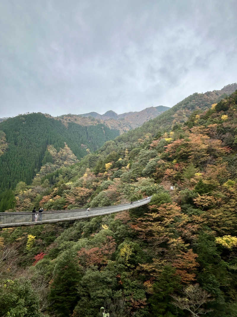 サ活部顧問さんの石段の郷 佐俣の湯(道の駅 美里 佐俣の湯)のサ活写真