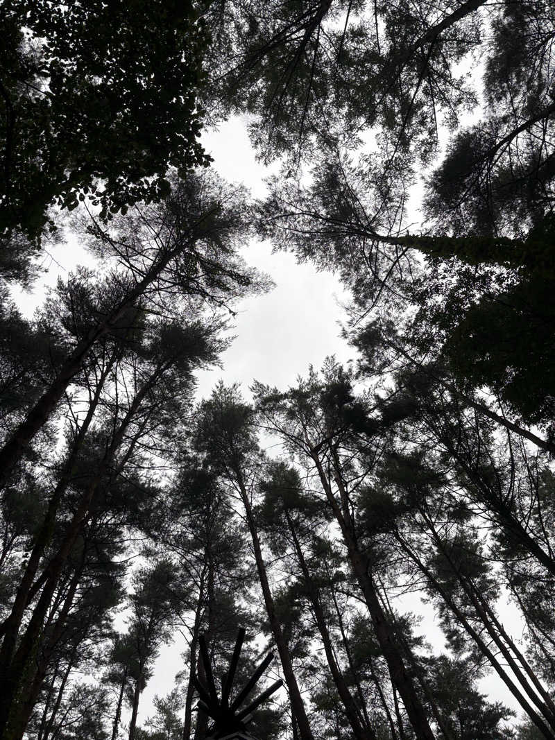 TTNT賢者TIMEさんのFOLKWOOD SAUNAのサ活写真