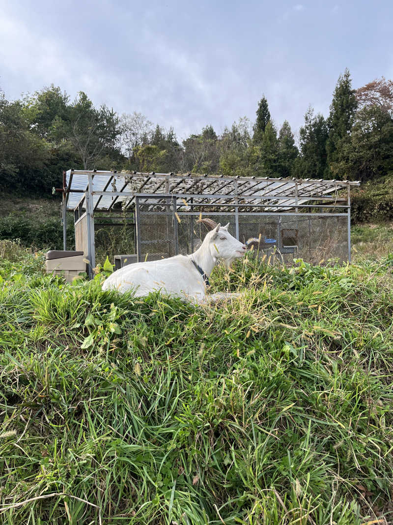 ちゃぴさんの熊ノ沢温泉のサ活写真