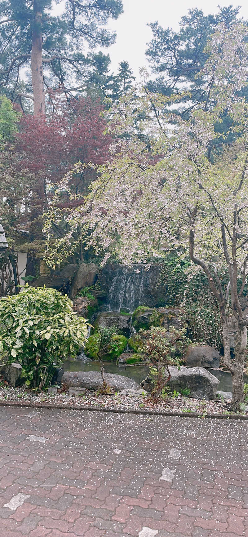 ちはるんさんの小樽朝里川温泉 おたる宏楽園のサ活写真