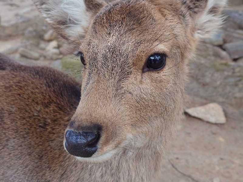 あきさんのサウナ&カプセルホテル ルーマプラザのサ活写真