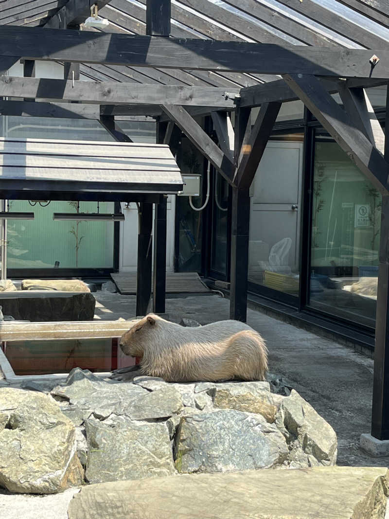 ピザ屋の彼女さんの石狩天然温泉 番屋の湯のサ活写真