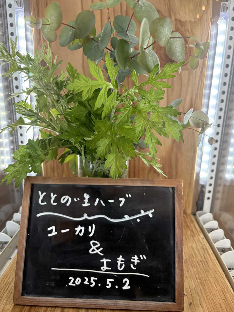 ajiさんの岐阜各務原 恵みの湯のサ活写真