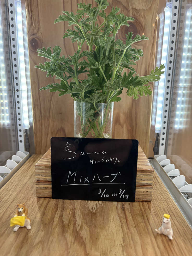 ajiさんの岐阜各務原 恵みの湯のサ活写真