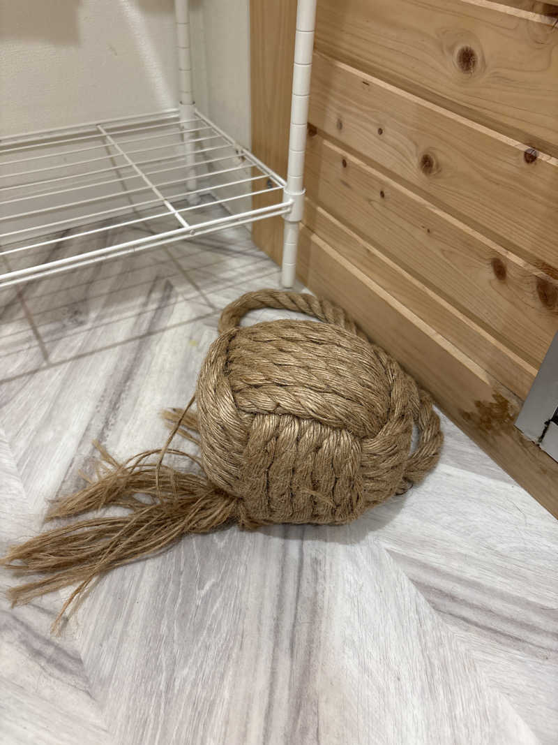 ajiさんのフィットイージー 岩倉店のサ活写真