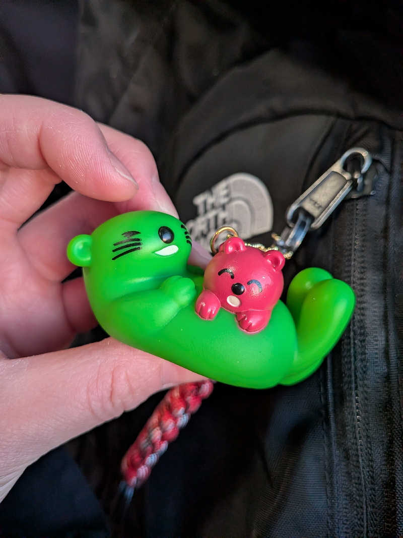 ピノさんの湯乃泉 草加健康センターのサ活写真