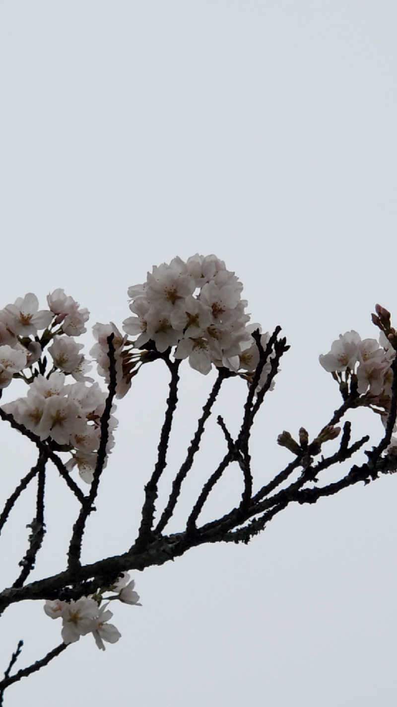 KZ841さんの横島総合保健福祉センター「ゆとりーむ」のサ活写真