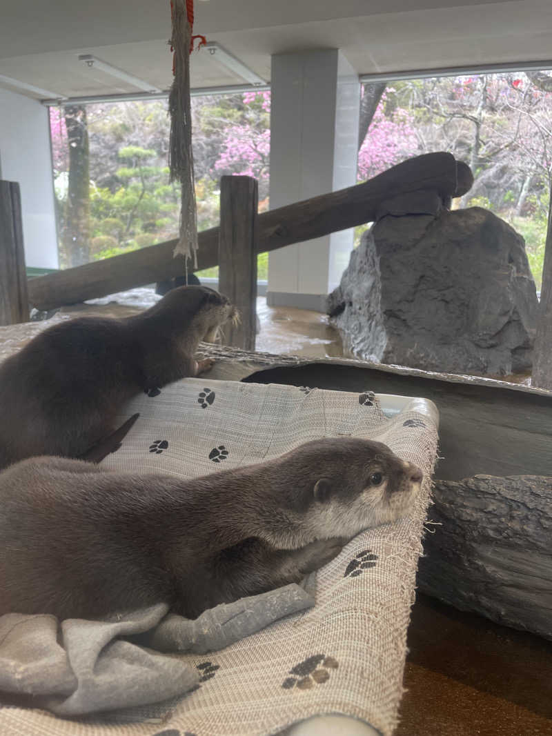 サウナと旅と私さんのよみうりランド眺望温泉 花景の湯のサ活写真