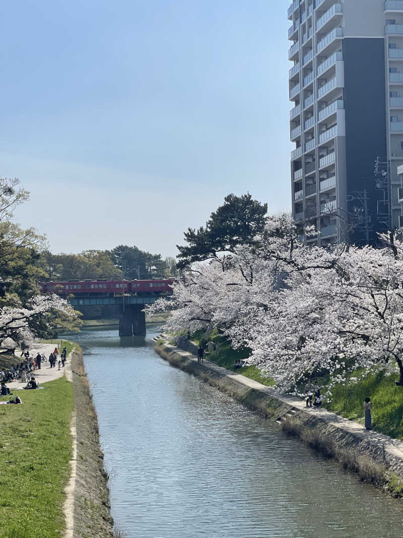 サウナと旅と私さんのおかざき楽の湯のサ活写真