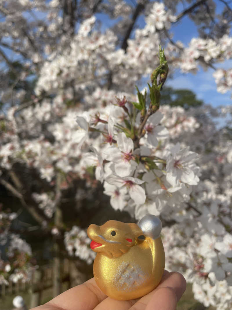 サウナと旅と私さんのおかざき楽の湯のサ活写真