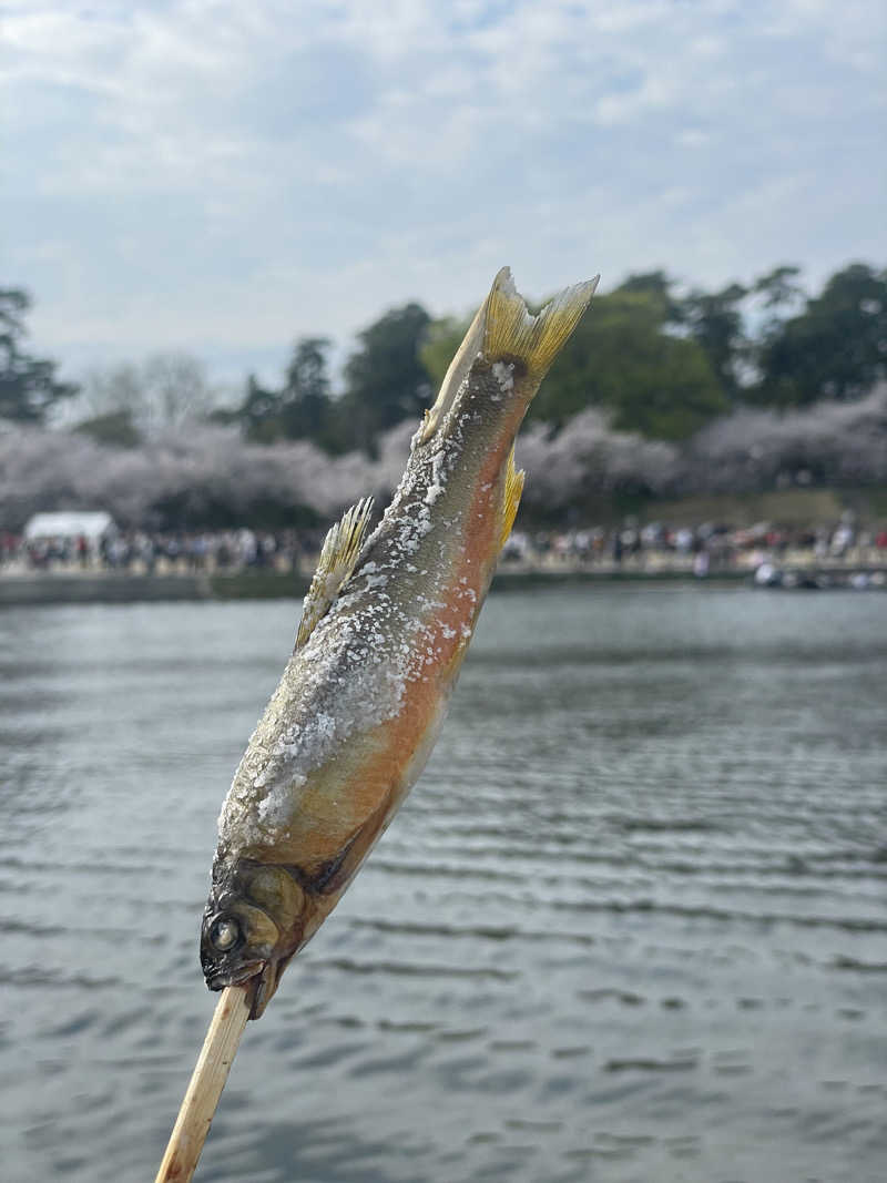 サウナと旅と私さんのおかざき楽の湯のサ活写真