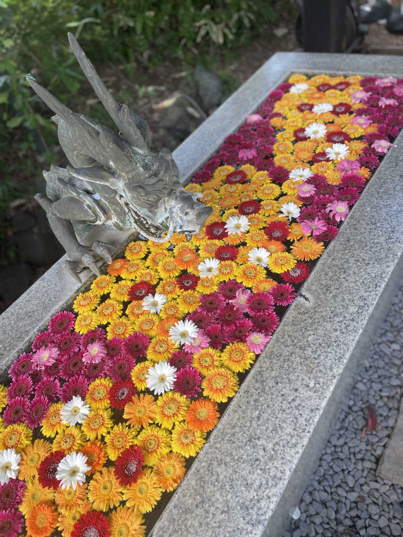 サウナと旅と私さんのよみうりランド眺望温泉 花景の湯のサ活写真