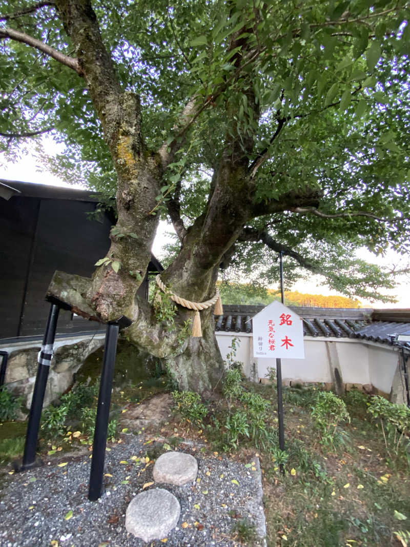 もじゃもじゃさんの福知山温泉 養老の湯のサ活写真