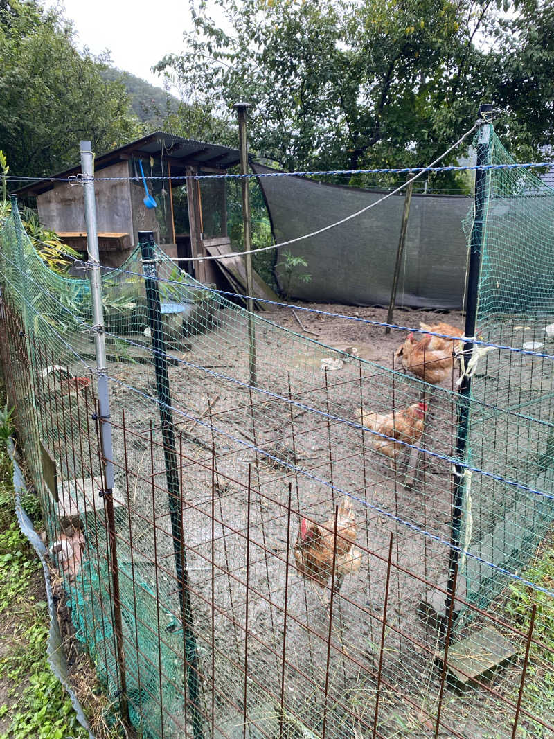 もじゃもじゃさんの古民家サウナさえずりのサ活写真