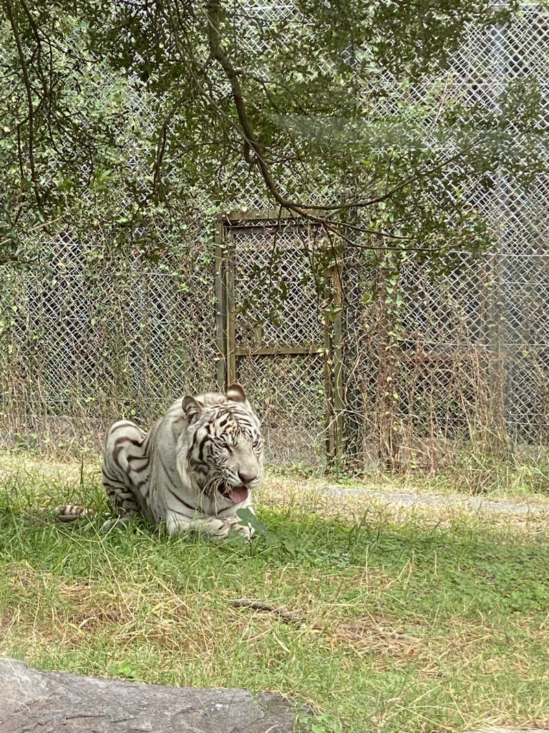 もじゃもじゃさんの花の湯 SAUNA & SPA 花北のサ活写真