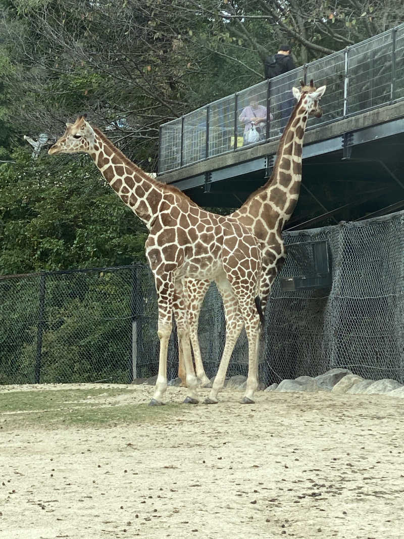 もじゃもじゃさんの花の湯 SAUNA & SPA 花北のサ活写真