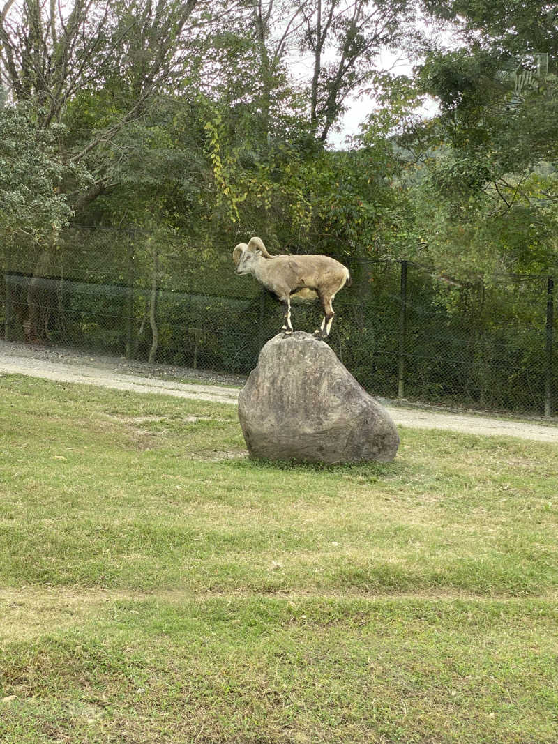 もじゃもじゃさんの花の湯 SAUNA & SPA 花北のサ活写真