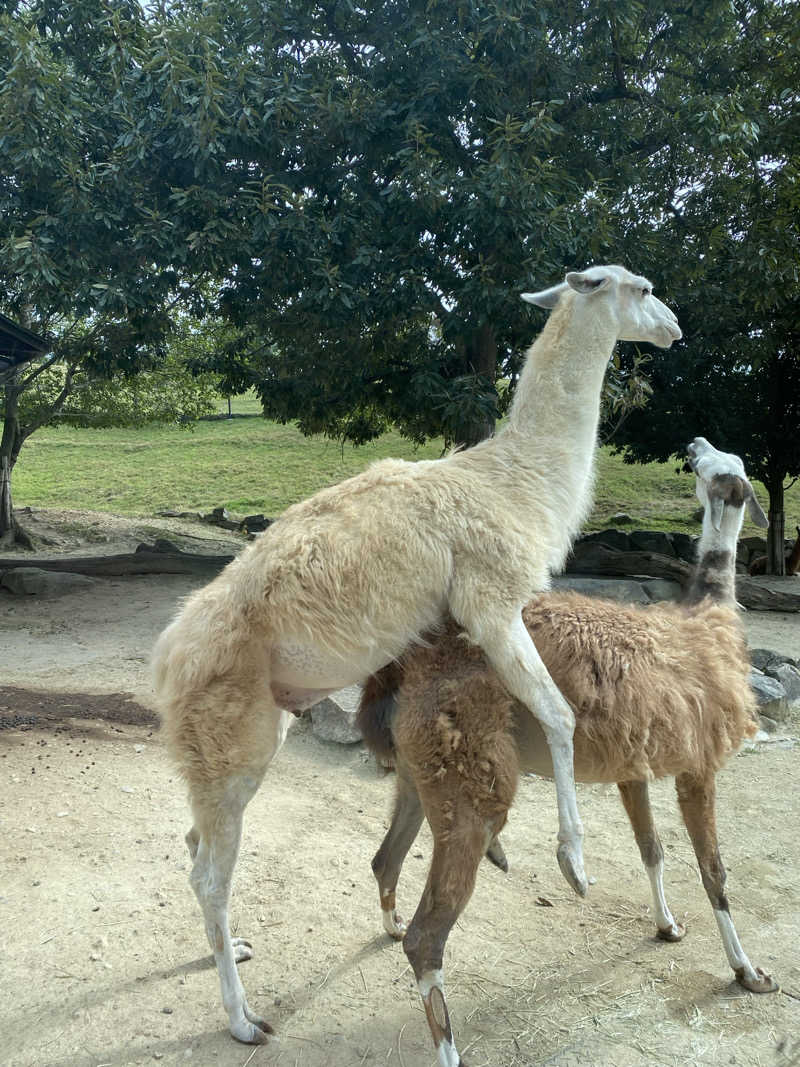 もじゃもじゃさんの花の湯 SAUNA & SPA 花北のサ活写真