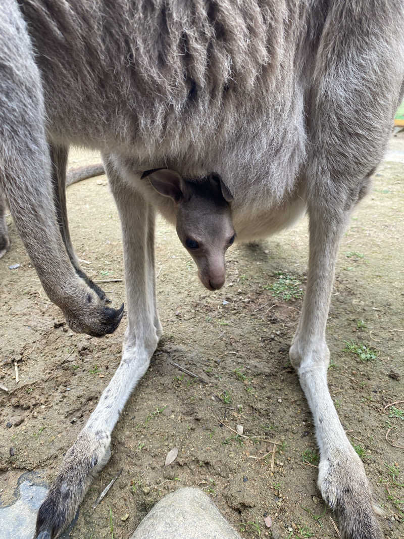もじゃもじゃさんの花の湯 SAUNA & SPA 花北のサ活写真