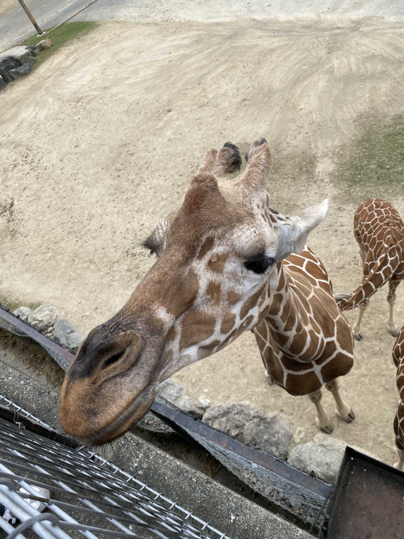 もじゃもじゃさんの花の湯 SAUNA & SPA 花北のサ活写真