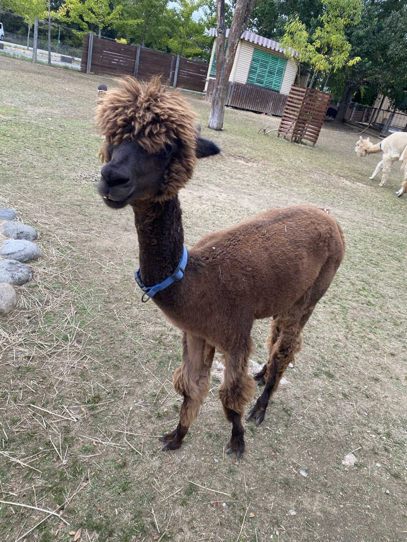 もじゃもじゃさんの花の湯 SAUNA & SPA 花北のサ活写真