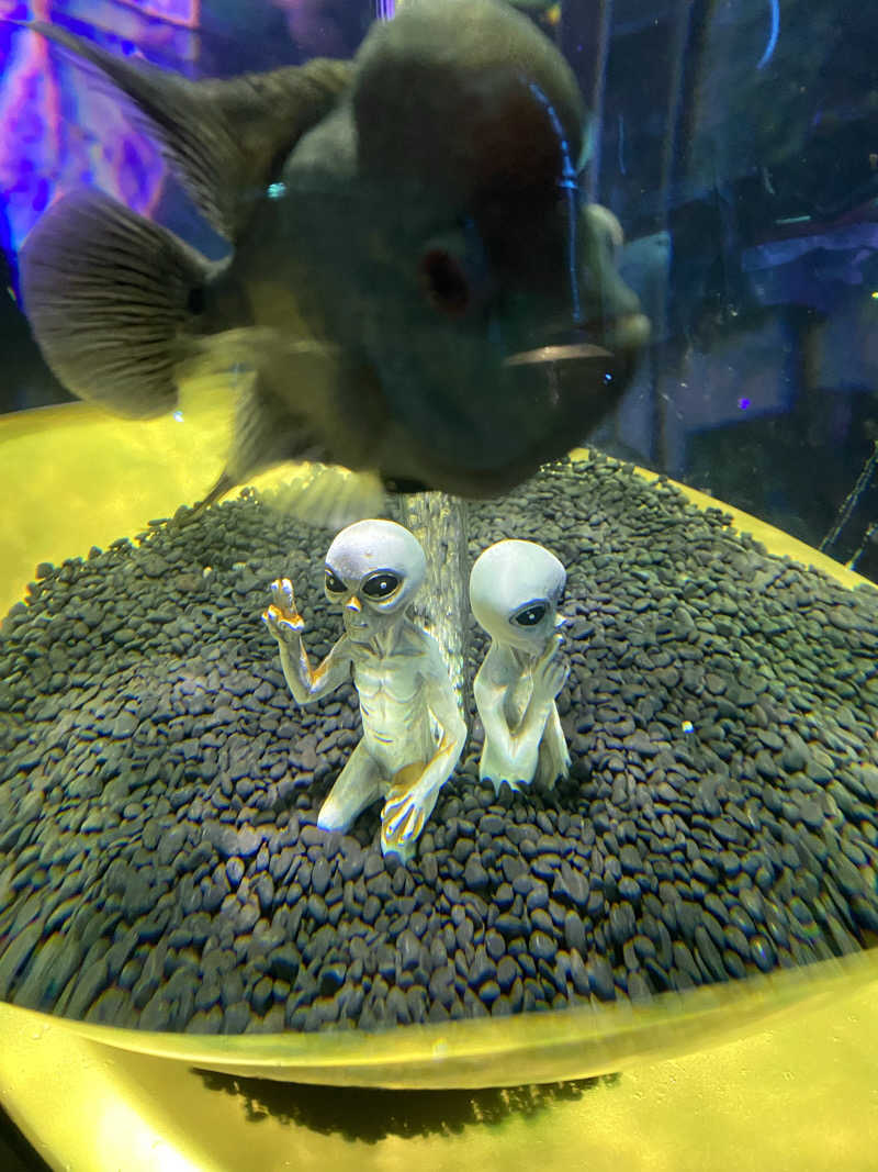 もじゃもじゃさんの湯快のゆ 寝屋川店のサ活写真