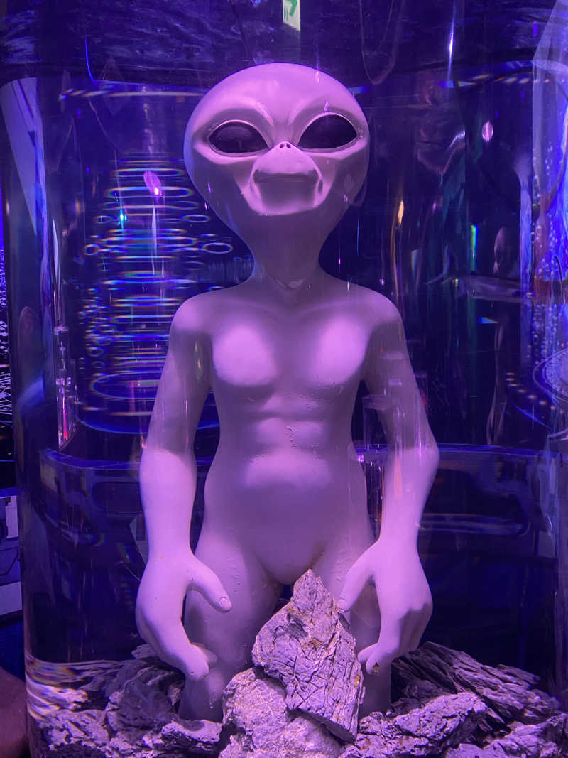 もじゃもじゃさんの湯快のゆ 寝屋川店のサ活写真