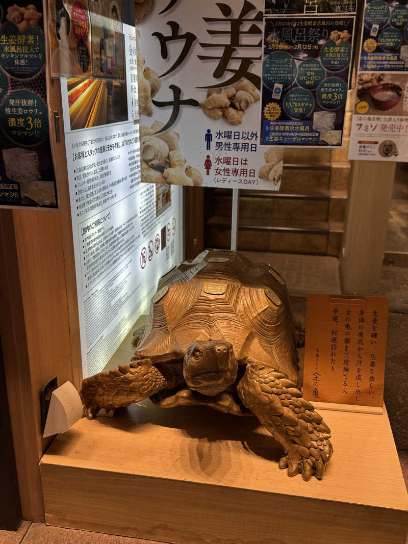 Koki(ちっけ)さんの生姜サウナ 金の亀のサ活写真