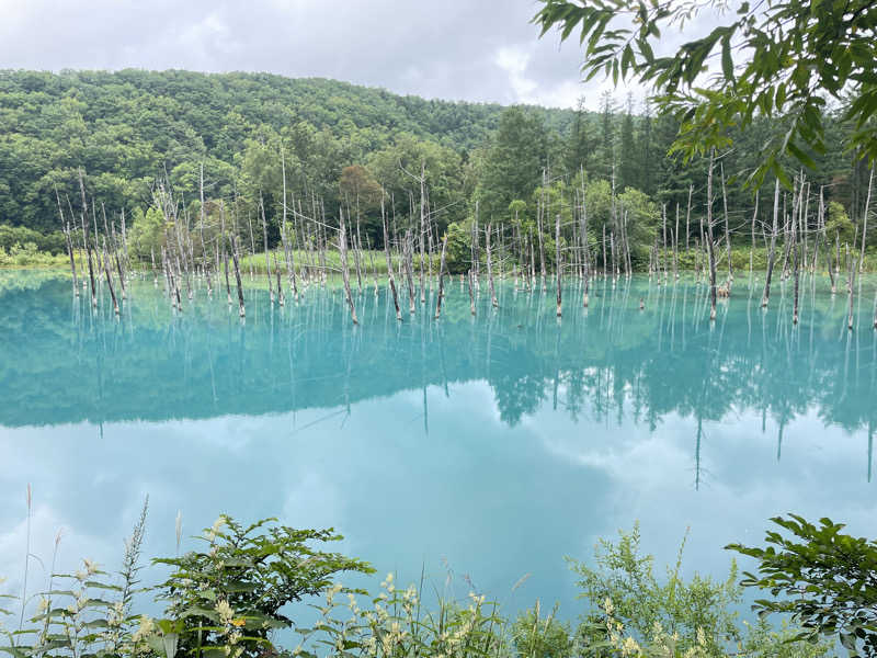 ちむぞんさんの吹上温泉保養センター 白銀荘のサ活写真