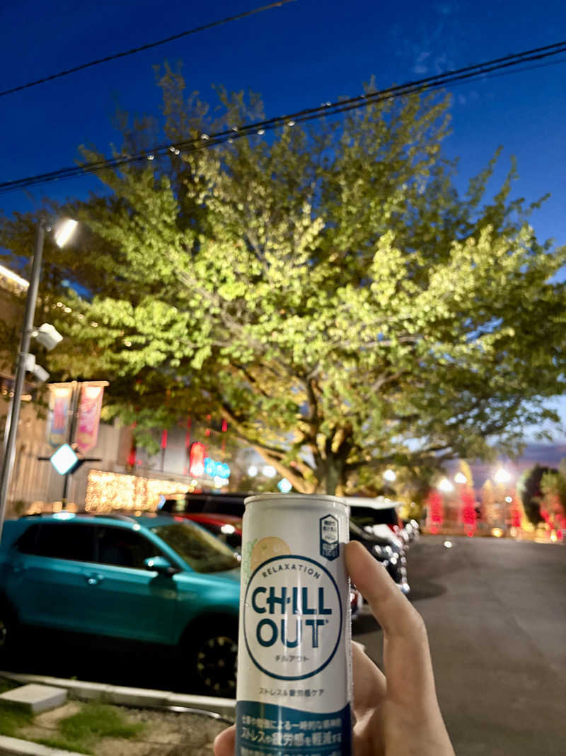 シマンピアコスさんの温泉バルコニー キング&クイーンのサ活写真