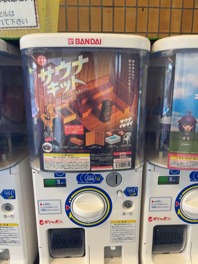 ノンビリサウナーさんのフレスパランド カッタの湯のサ活写真