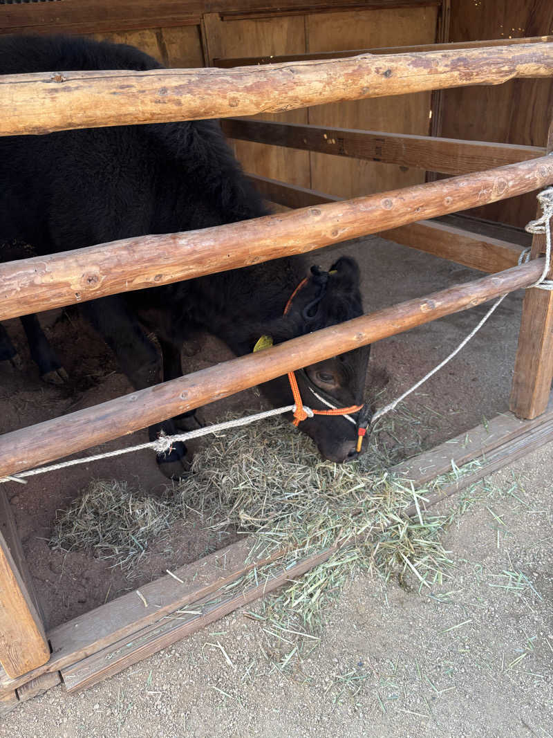 ノンビリサウナーさんの上関海峡温泉 鳩子の湯のサ活写真