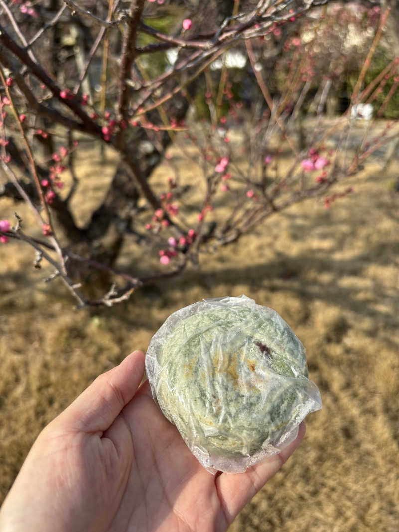 ノンビリサウナーさんの上関海峡温泉 鳩子の湯のサ活写真