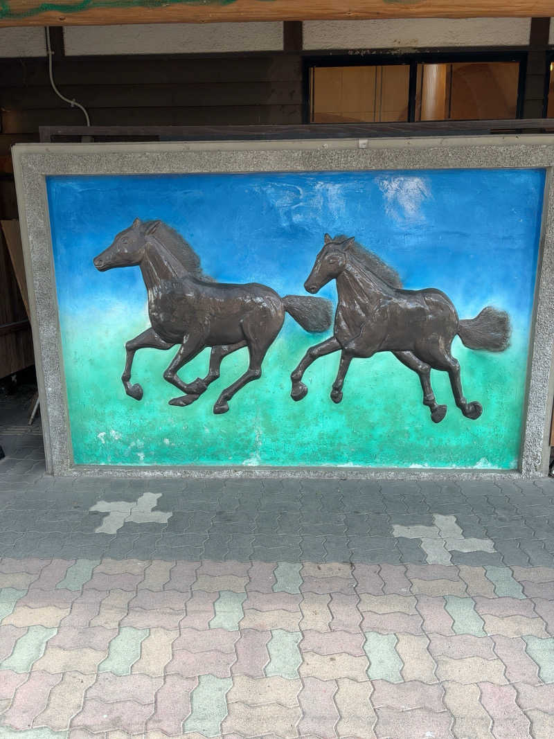 ノンビリサウナーさんの風サウナのサ活写真