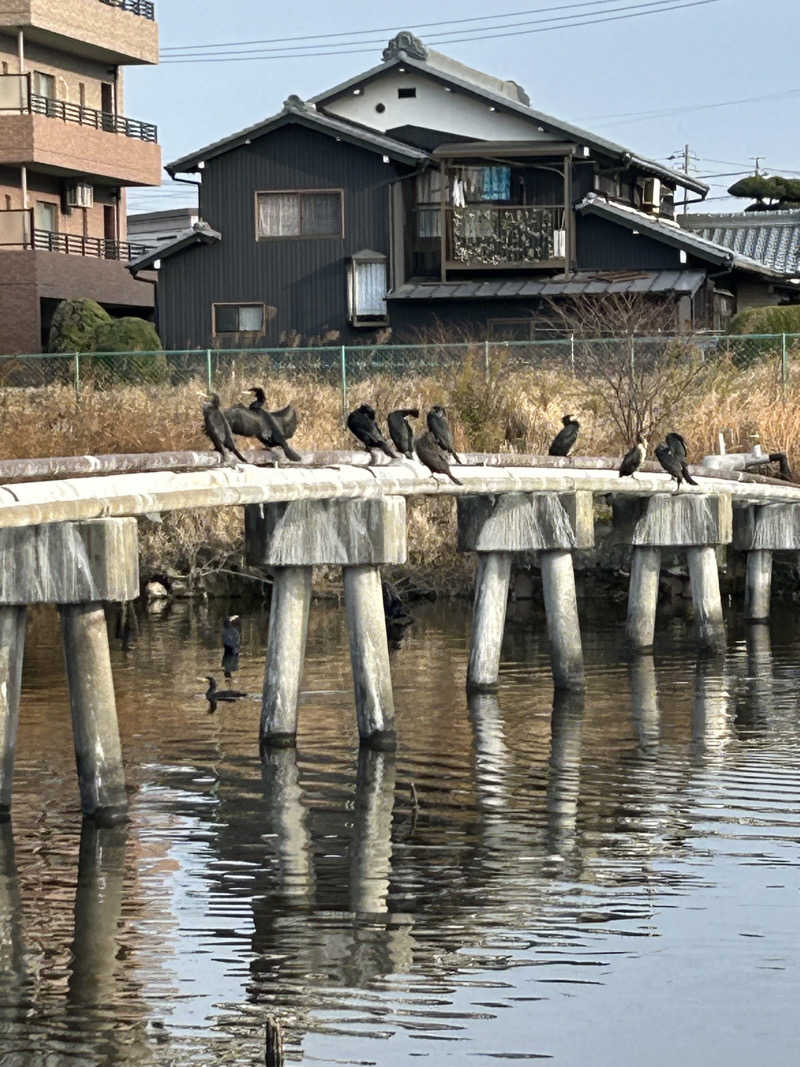 愛こさんの尾張温泉東海センターのサ活写真