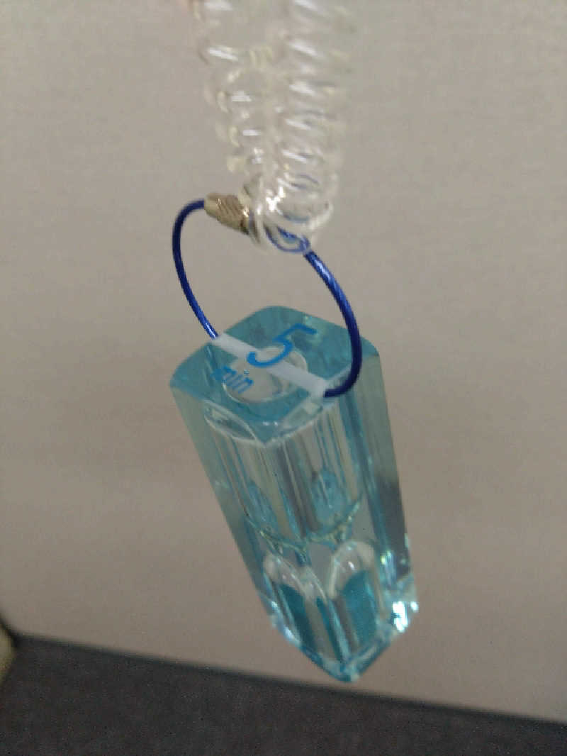 揺れたチンカーベルさんのレックスイン川崎のサ活写真