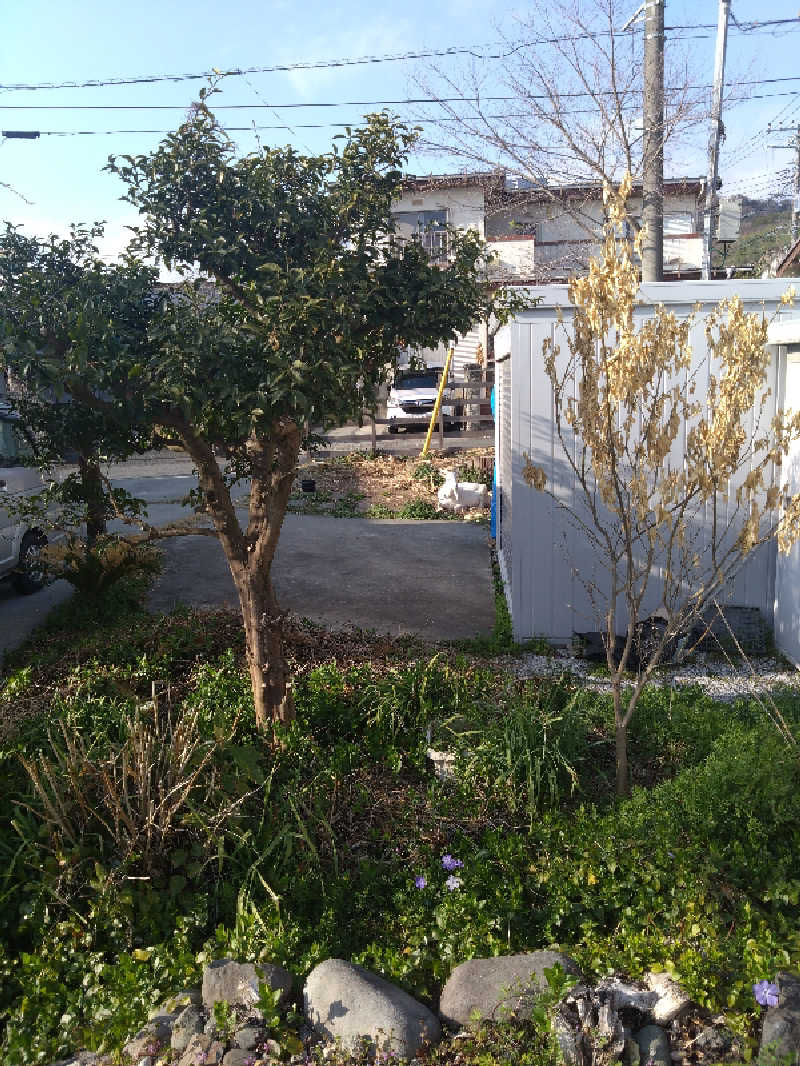 揺れたチンカーベルさんのサウナと水風呂 ODAWARA PRIVATE SAUNAのサ活写真