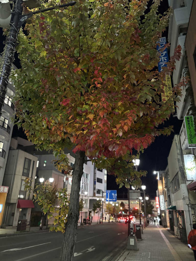 ワチワチさんのホテル ルートインGrand上田駅前のサ活写真