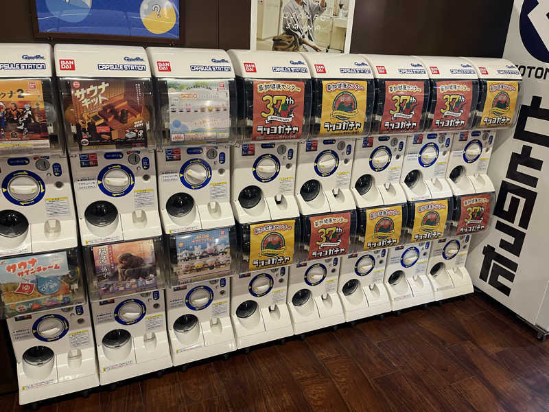 Shimizuさんの湯乃泉 草加健康センターのサ活写真