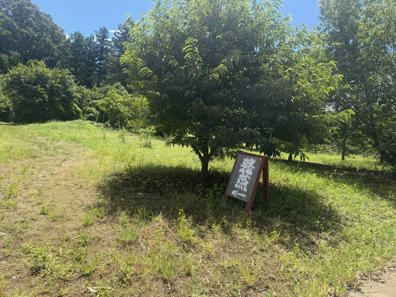 金木犀さんのサウナ蓑蒸のサ活写真