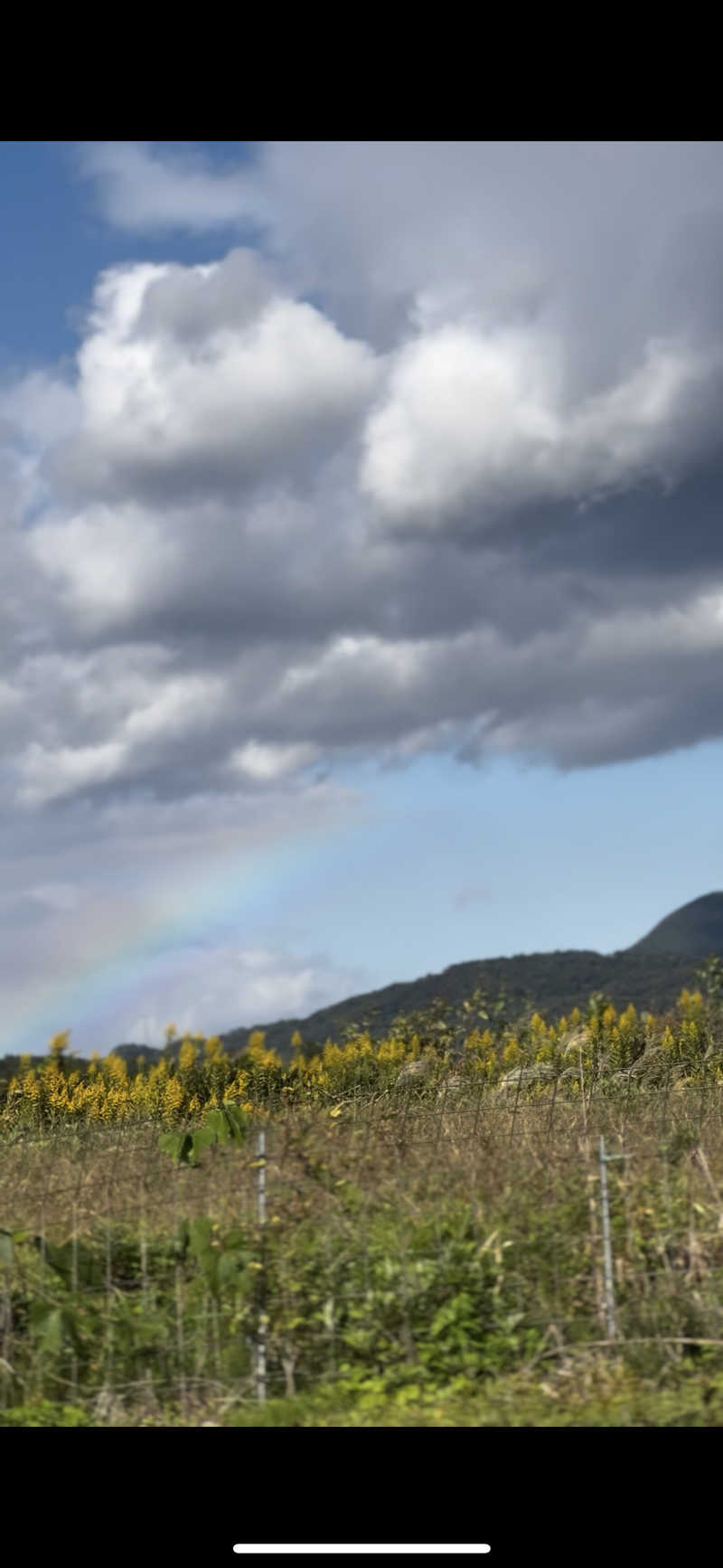 assistさんのLita-saunaのサ活写真