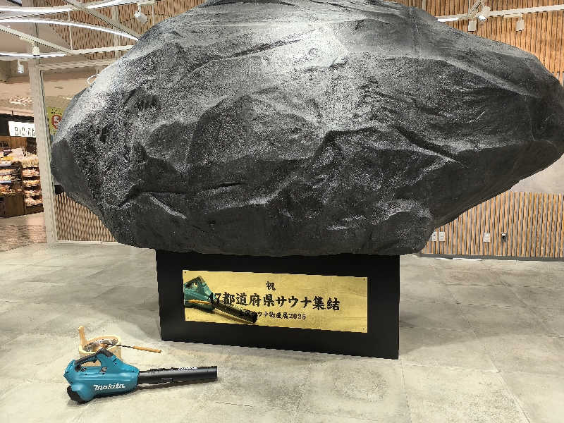 むんさんの東京荻窪天然温泉 なごみの湯のサ活写真