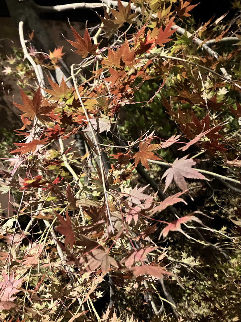 ひげやまさんの横浜青葉温泉 喜楽里別邸のサ活写真