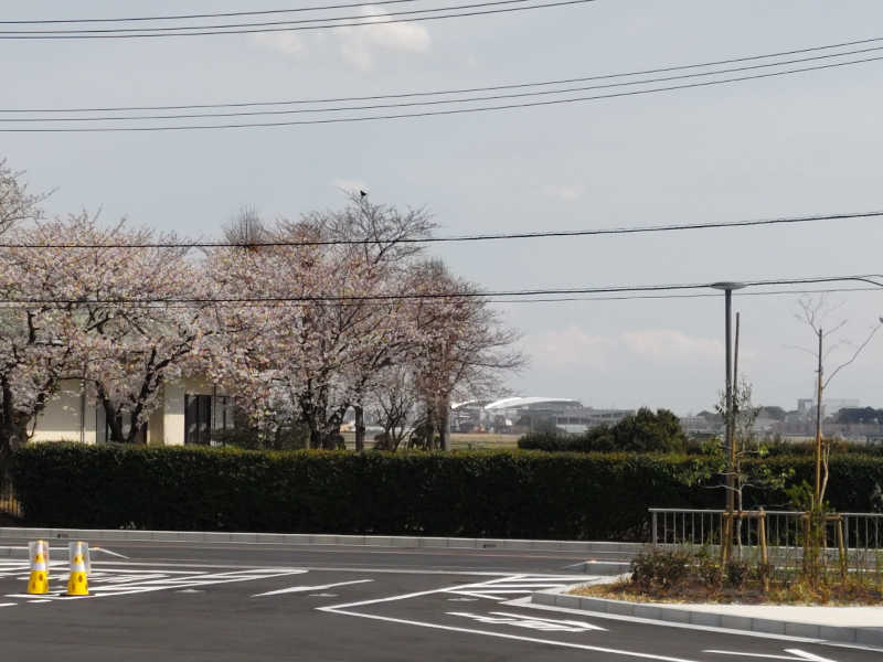 カニすきさんのゆーぱる ひざこ(健康福祉センター東楽園)のサ活写真