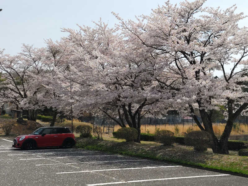 カニすきさんの芦野温泉のサ活写真