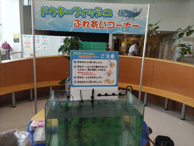 カニすきさんのウィンディのサ活写真