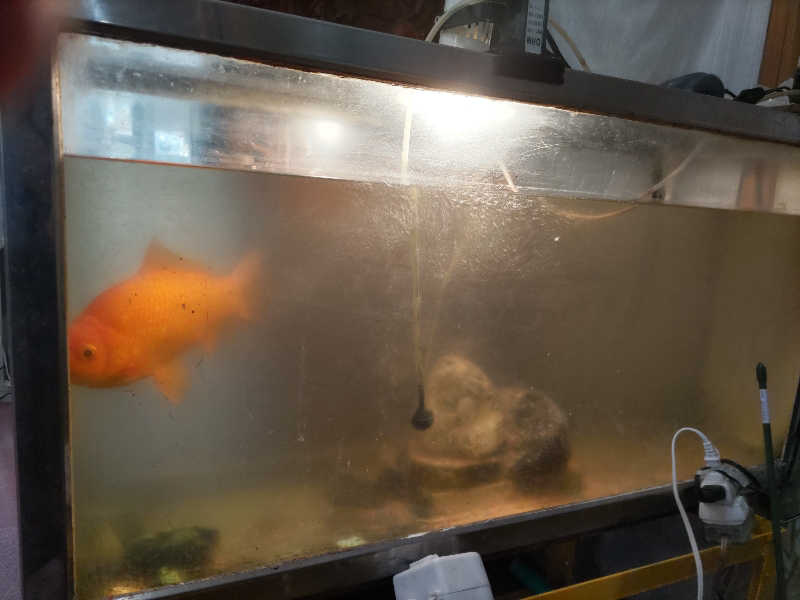 カニすきさんのピラミッド元氣温泉のサ活写真